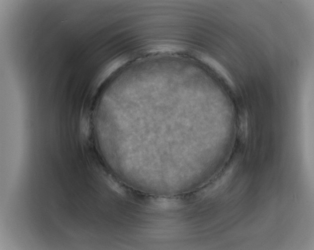 X0000113290874200910051058