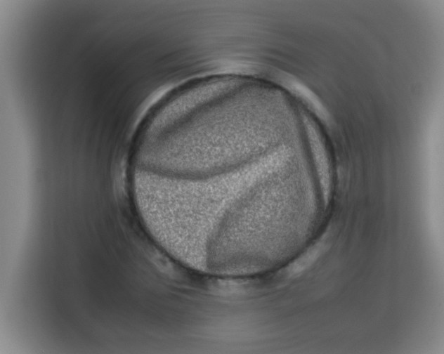 X0000113290875200910051058