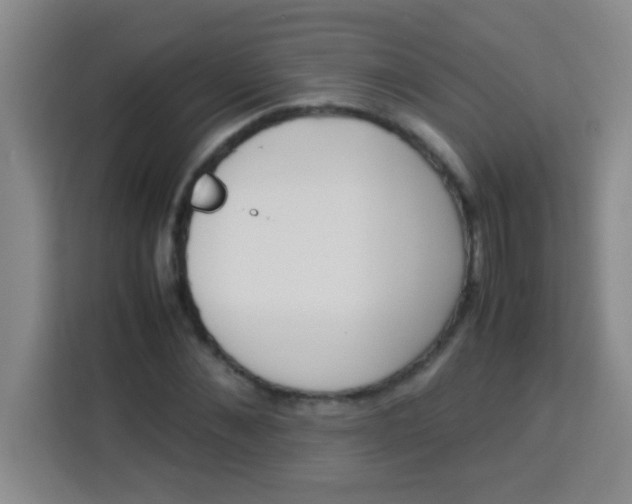 X0000113290876200910051058