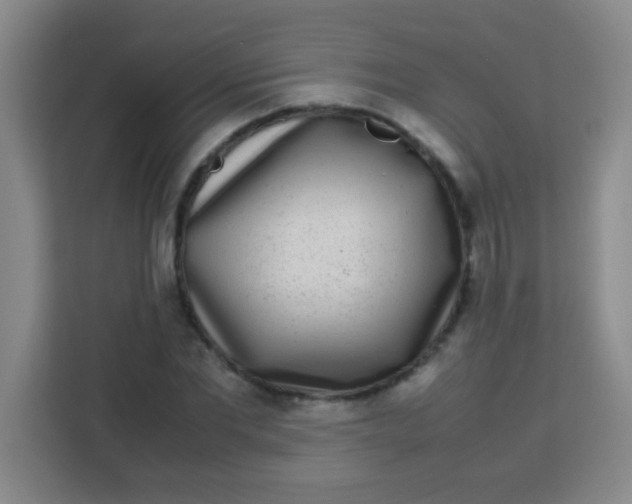 X0000113290877200910051058