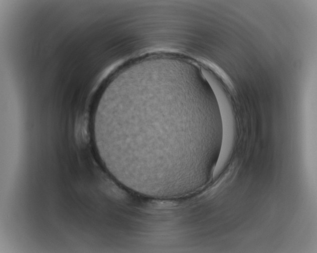 X0000113290878200910051058