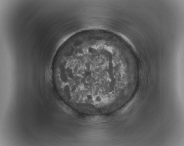 X0000113290879200910051058