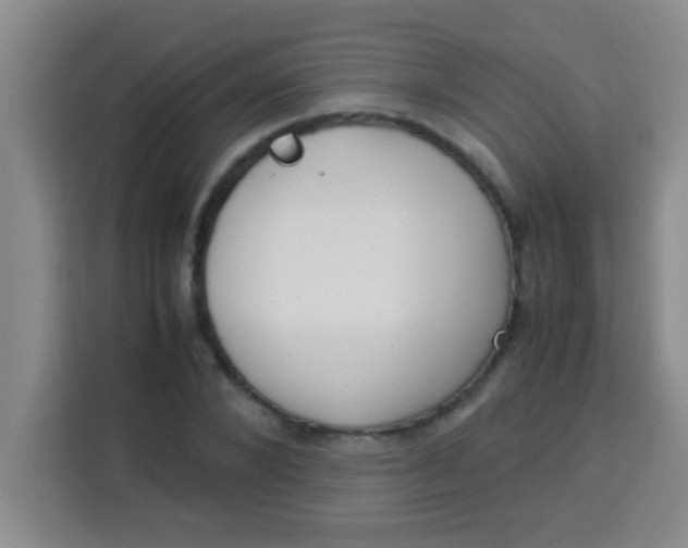 X0000113290880200910051058