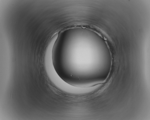 X0000113290881200910051058