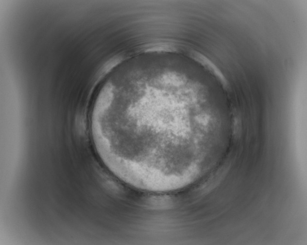 X0000113290882200910051058