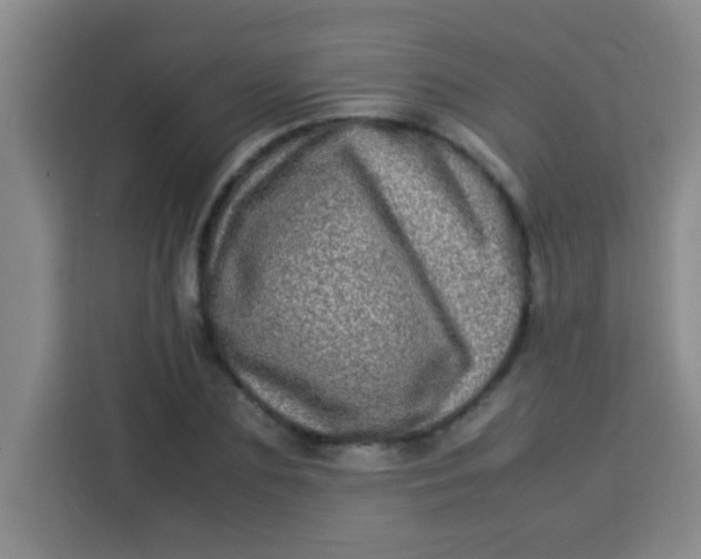 X0000113290883200910051058