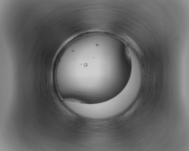 X0000113290884200910051058