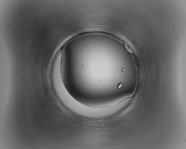 X0000113290885200910051058