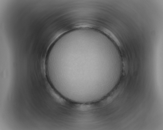 X0000113290890200910051058