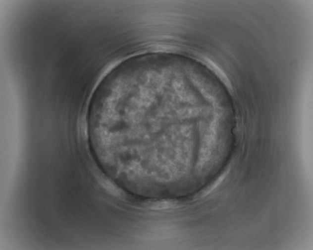 X0000113290891200910051058