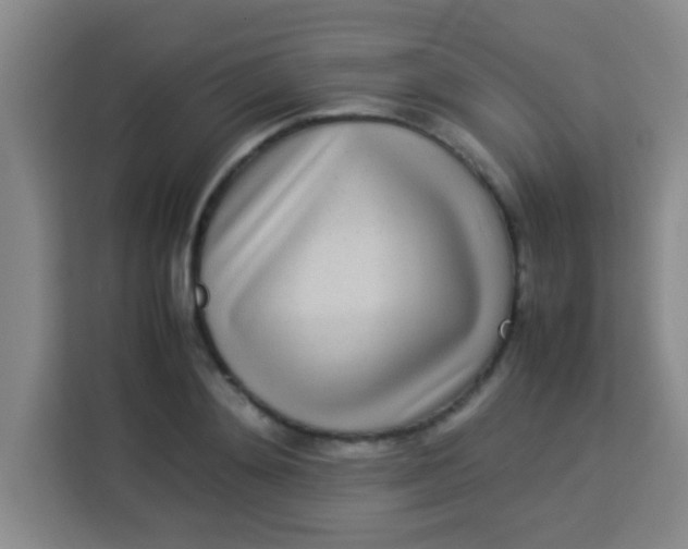 X0000113290892200910051058