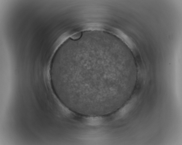 X0000113290893200910051058