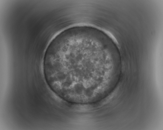 X0000113290895200910051058