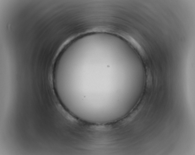 X0000113290896200910051058