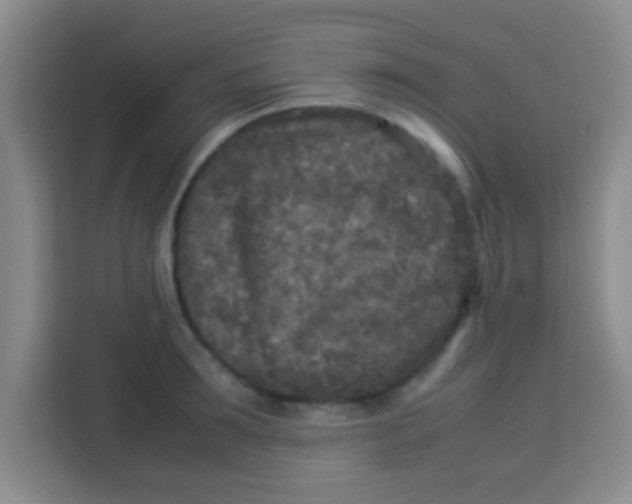 X0000113290899200910051058