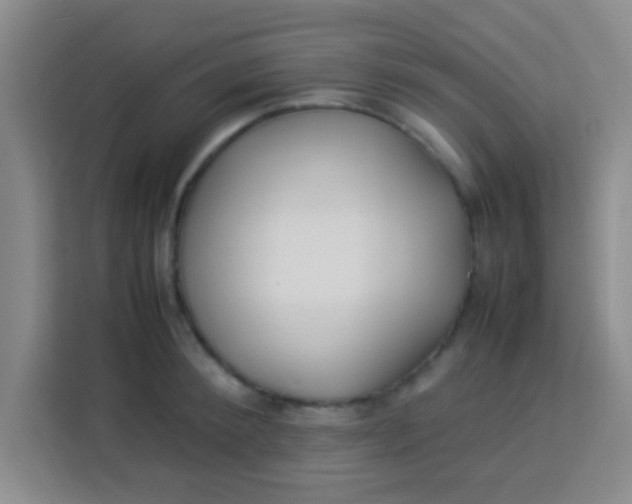 X0000113290900200910051058