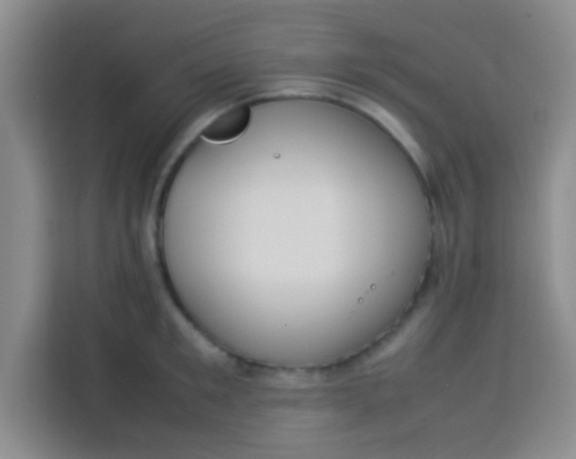 X0000113290901200910051058