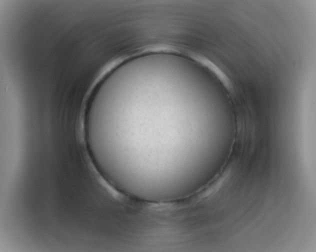 X0000113290902200910051058