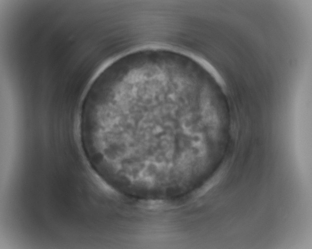 X0000113290903200910051058