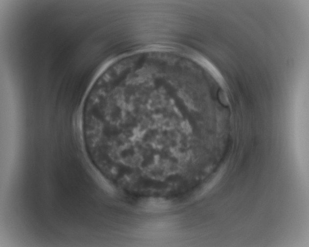 X0000113290907200910051058