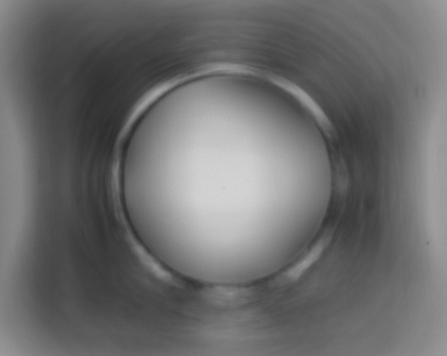 X0000113290910200910051058