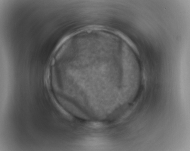 X0000113290911200910051058