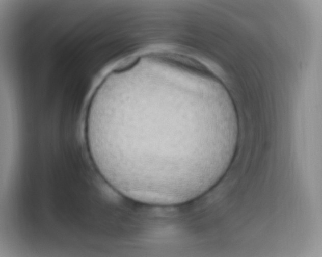 X0000113290912200910051058