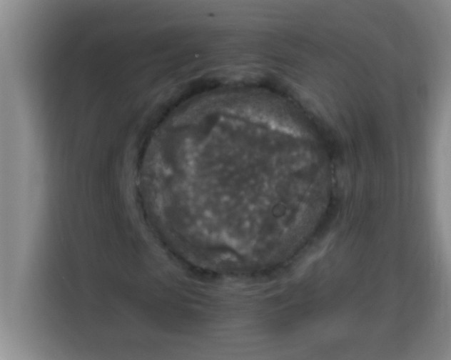 X0000113290913200910051057