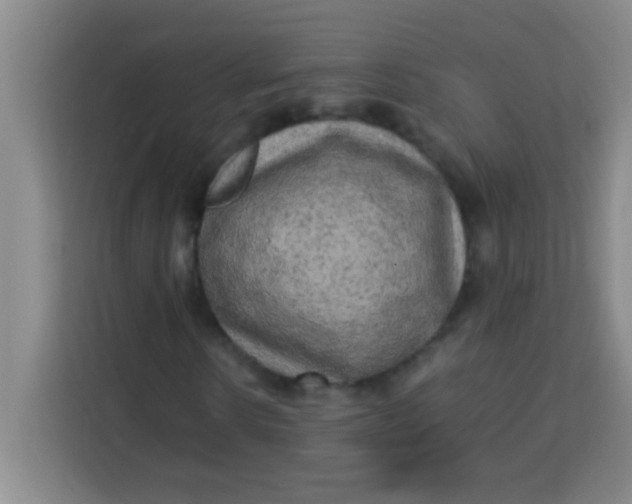 X0000113290914200910051057