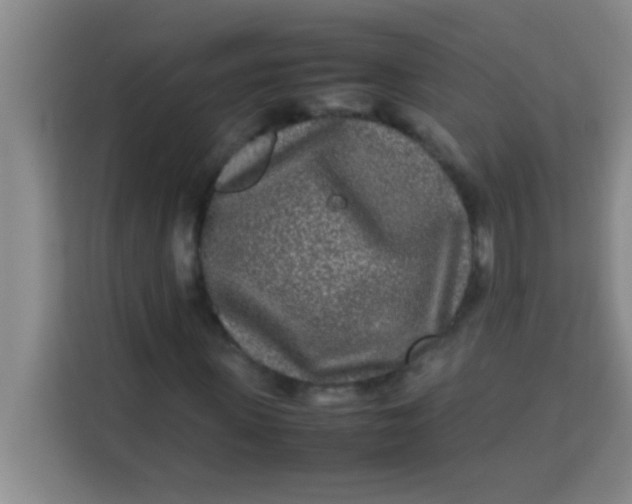 X0000113290915200910051057