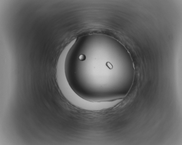 X0000113290916200910051057