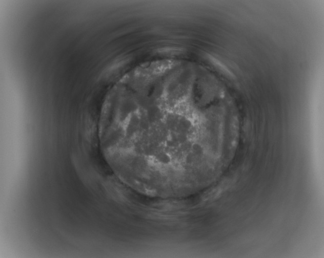 X0000113290917200910051057