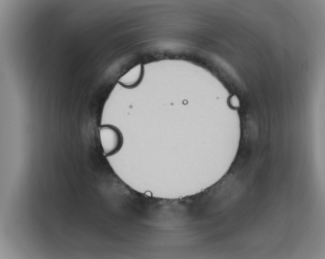 X0000113290918200910051057