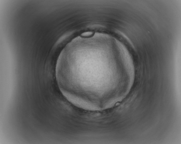 X0000113290919200910051057