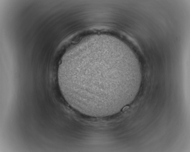 X0000113290920200910051057