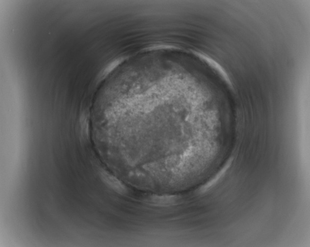 X0000113290921200910051057