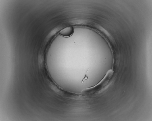 X0000113290922200910051057