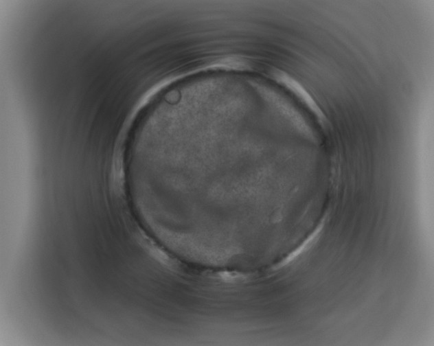 X0000113290923200910051057