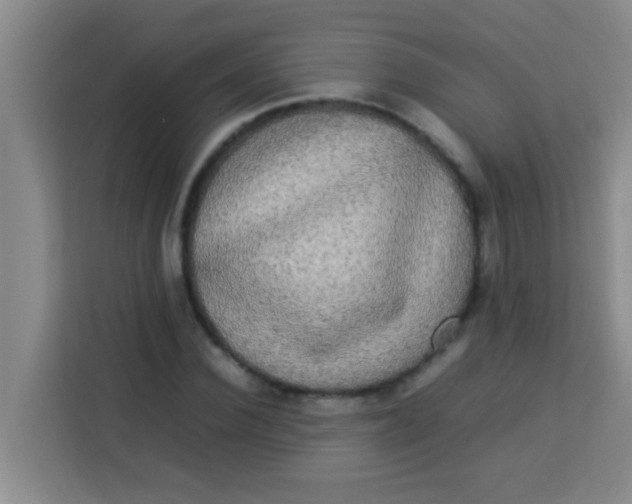 X0000113290924200910051057