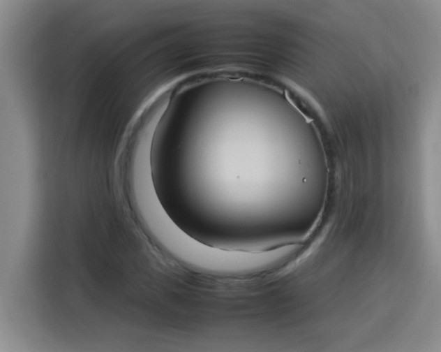 X0000113290925200910051057