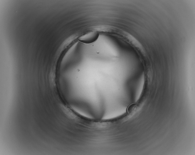 X0000113290930200910051057