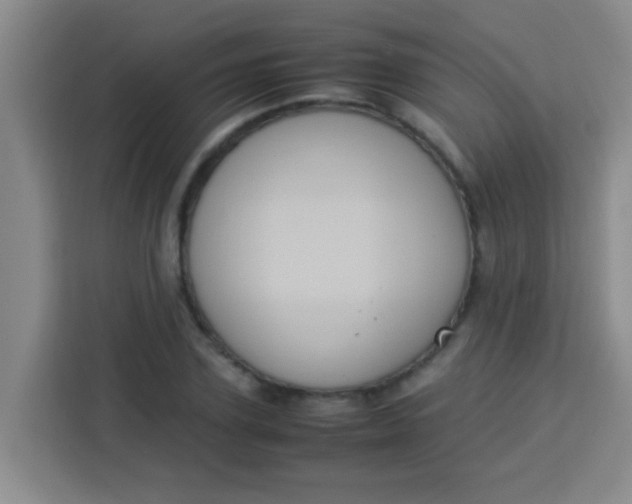 X0000113290931200910051057