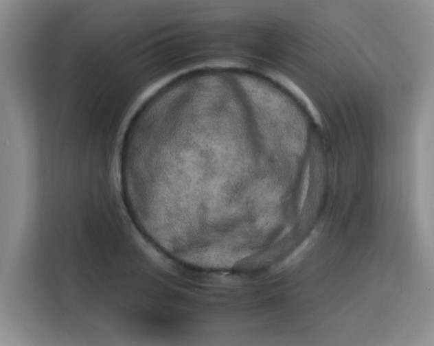 X0000113290935200910051058