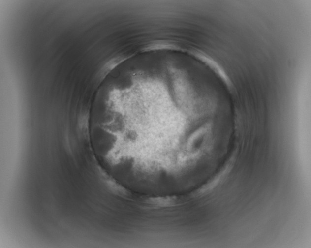 X0000113290937200910051058