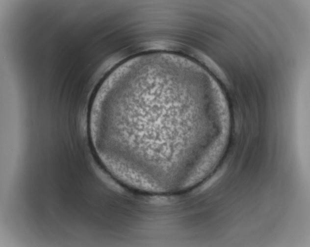 X0000113290938200910051058