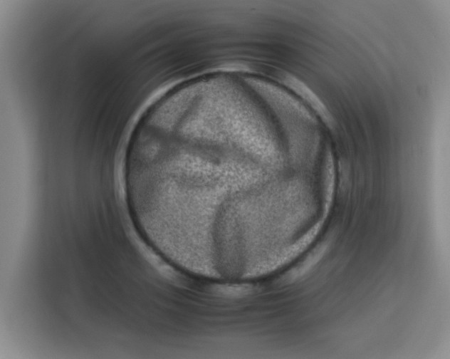 X0000113290939200910051058