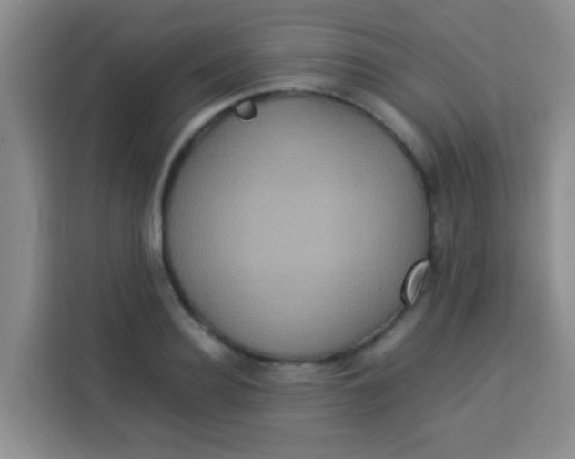 X0000113290940200910051058