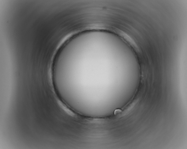 X0000113290942200910051058