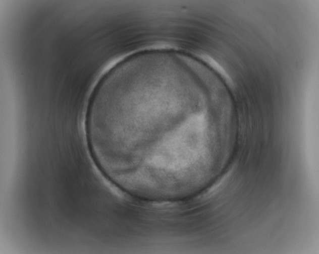 X0000113290943200910051058