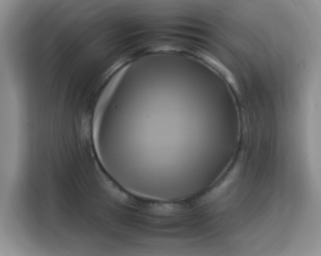 X0000113290945200910051058